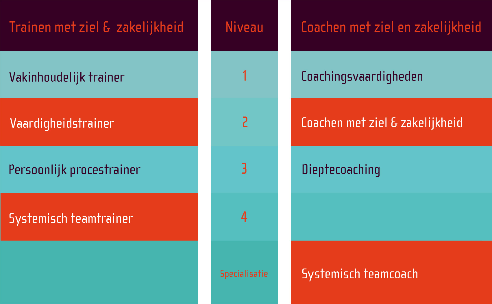 nieuw-opleidingsschema_-lichten-02