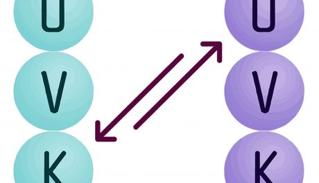 Transactionele Analyse Strooks