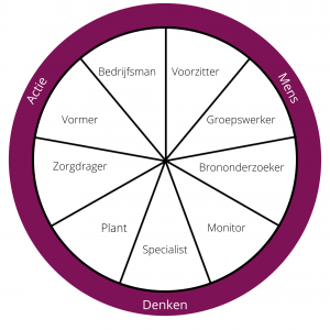 Belbin Model