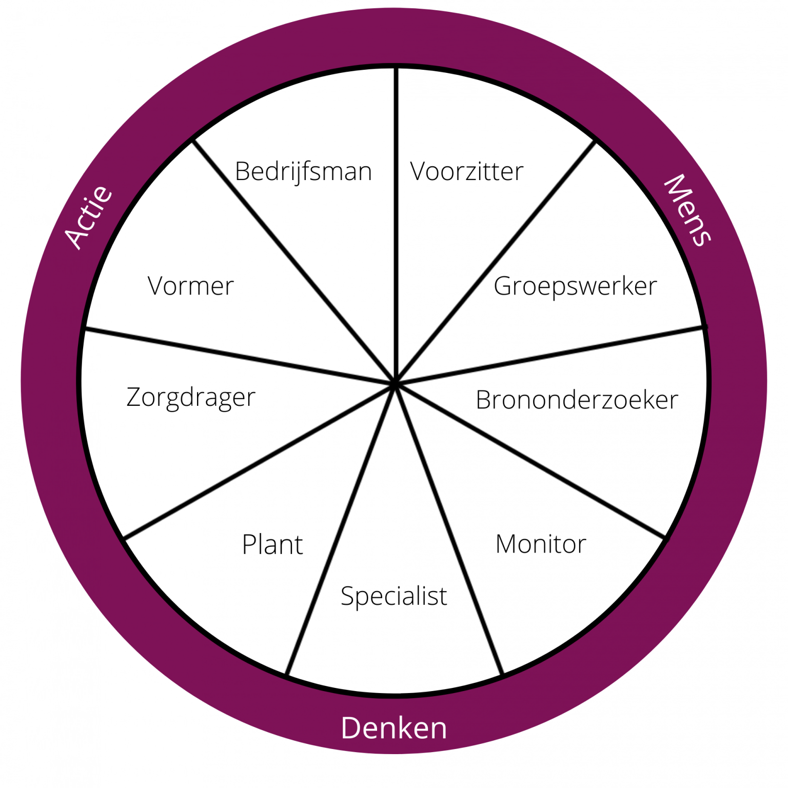 Belbin model - Blankestijn & Partners