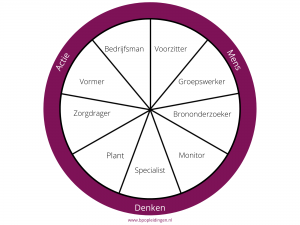 Belbin model