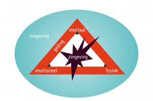 Stermodel van de zes ontwikkelingsniveaus_Blankestijn & Partners