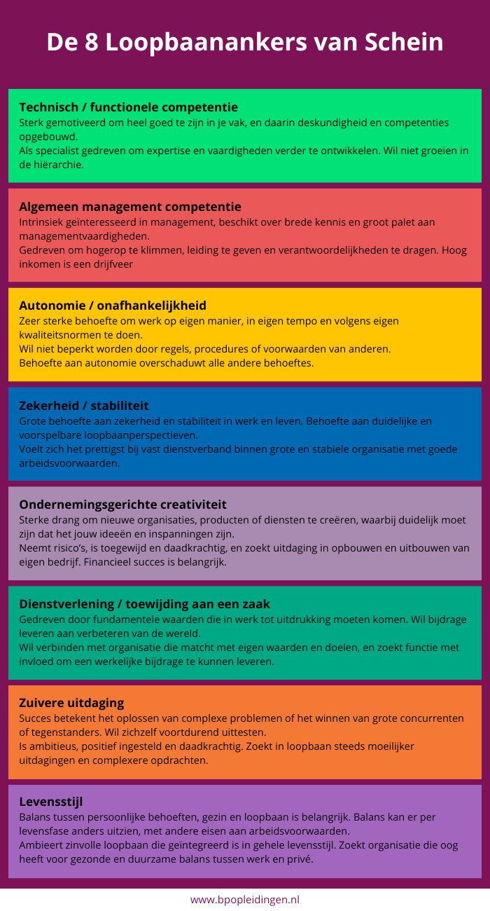 De 8 Loopbaanankers van Schein