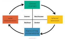 Theorie: De Leercirkel Van Kolb | Blankestijn & Partners