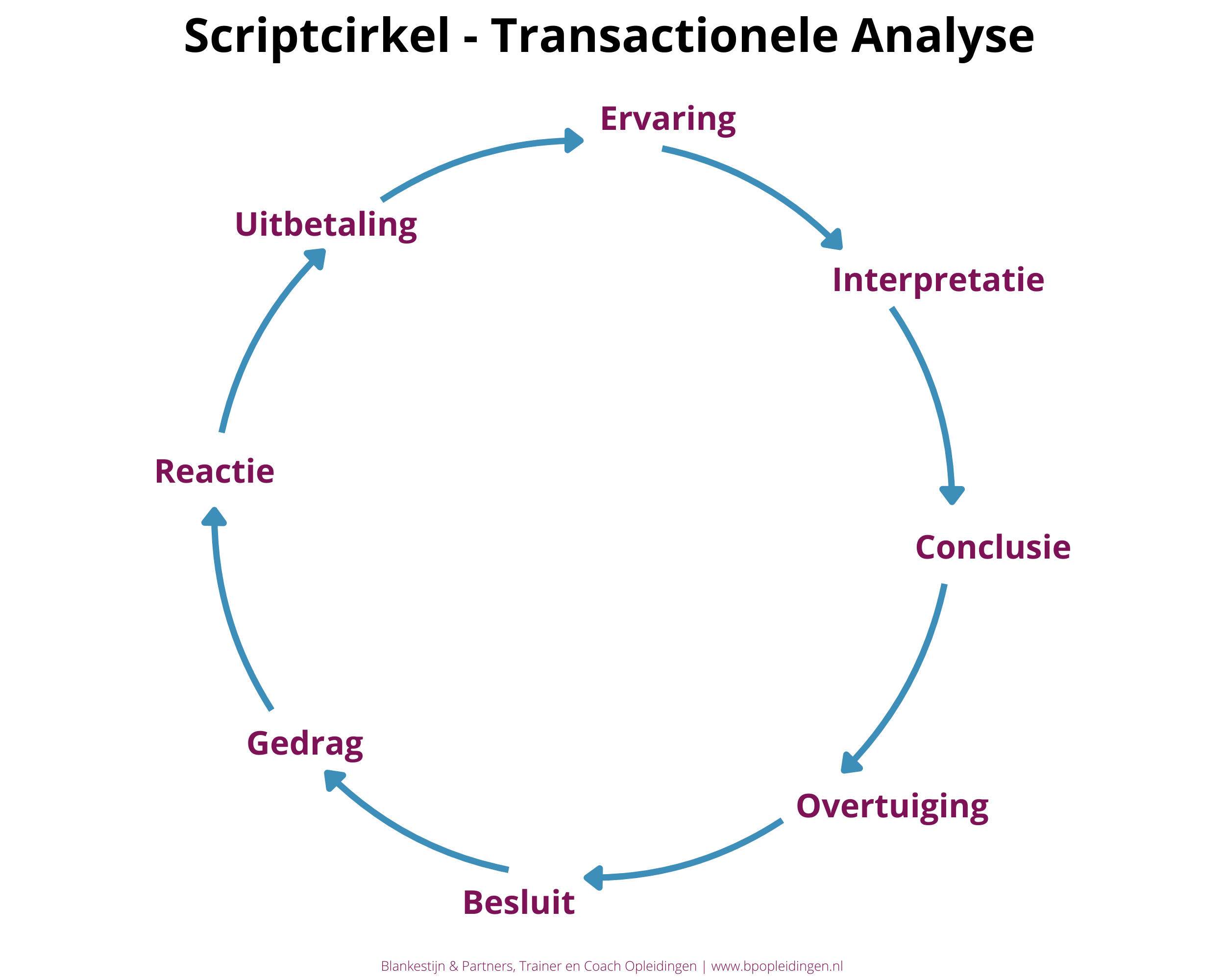 Scriptcirkel - Transactionele Analyse