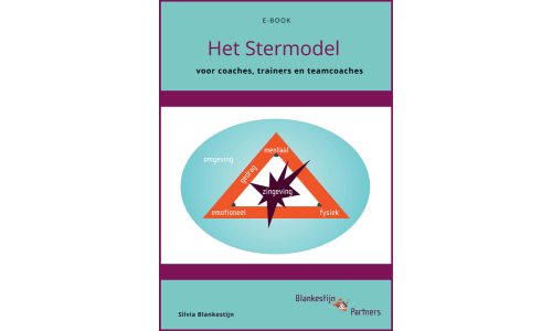 Stermodel