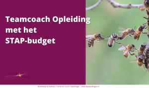 Teamcoach Opleiding met het STAP-budget