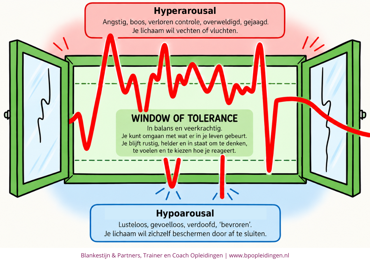 Window of Tolerance abnormaal