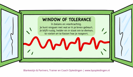 Window of Tolerance normaal