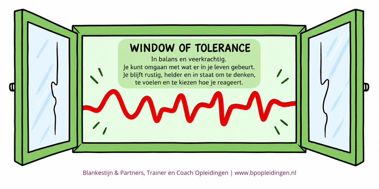Window of Tolerance normaal