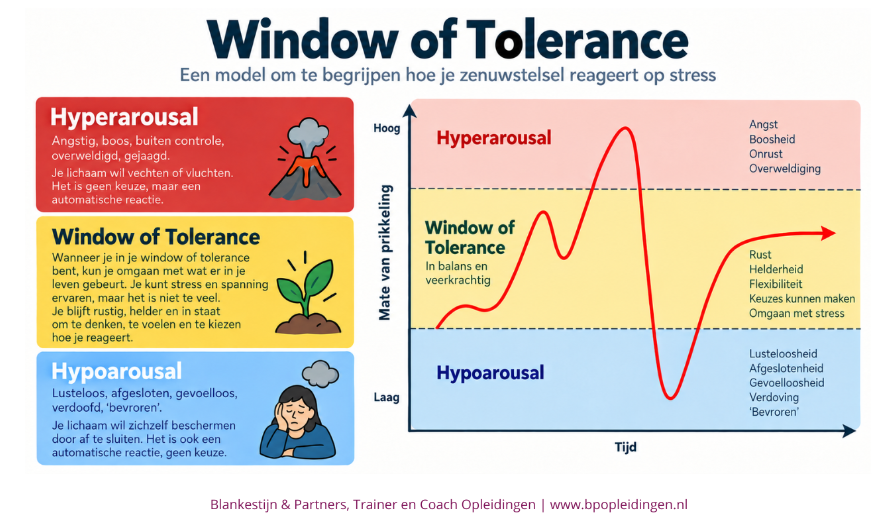 Window of Tolerance